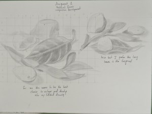 Assignment 1 - Natural Forms - Composition Development