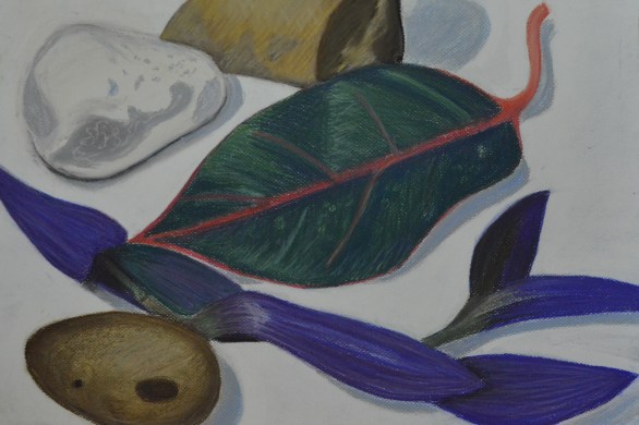 Assignment 1 - Natural Forms - Finished Drawing