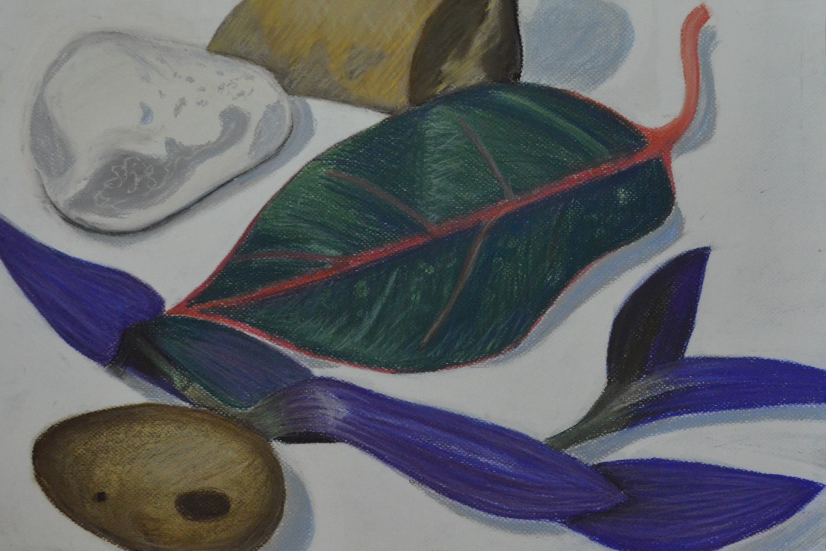 Assignment 1 - Natural Forms - Finished Drawing