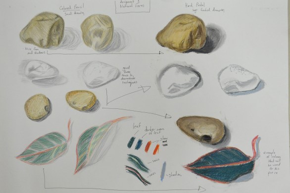 Assignment 1 - Natural Forms - Variations and Materisla Used