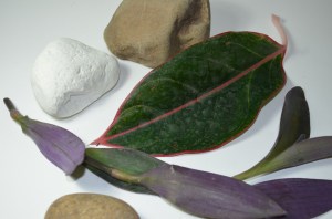 composition of natural objects