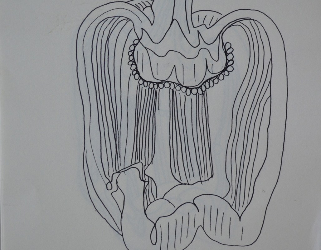 Exercise - Line Drawing Detail Second Subject 2