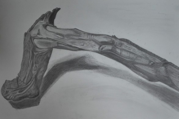 Getting Tine and Depth in Detail 2