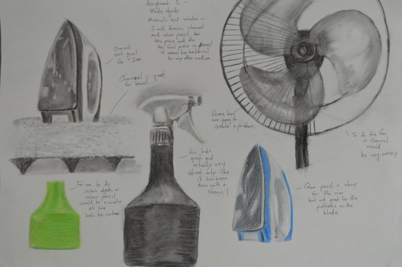 Assignment 1 - Charcoal and Colour Pencil Studies