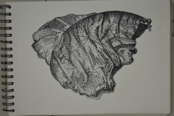 Exercise - Stipples and Dots, Finished Drawing