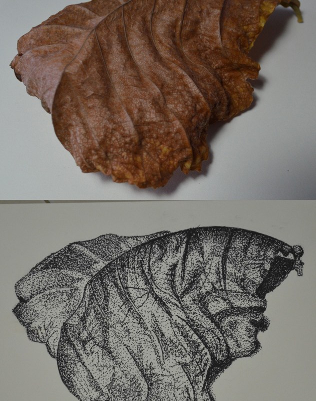 Exercise: Stipples and Dots Finished