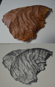 Exercise: Stipples and Dots Finished