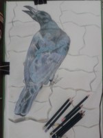 Grabbing the Chance main Drawing 5