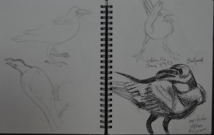 Grabbing the Chance - second try -ball point pen