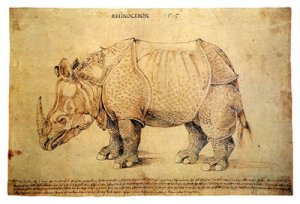Albrecht Dürer Rhinoceros 1515 pen and ink drawing