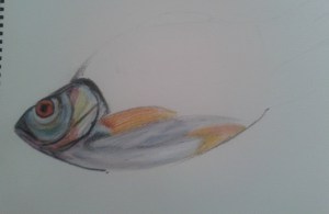 Fish on a Plate - head