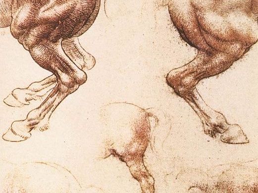 Leonardo da Vinci “Study of horses”, red chalk on paper, 1504-6