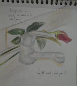 Colour Pencil Study Colour Pencil Study