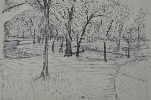 Exercise 360 Degree Studies: North