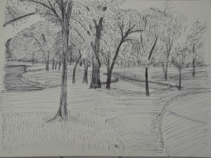 Exercise 360 Degree Studies: North