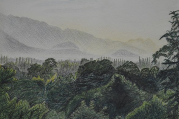 5 - Photo of drawing with no reflection