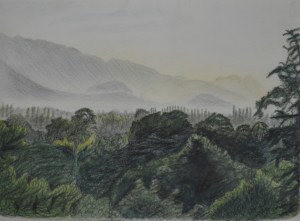 5 - Photo of drawing with no reflection