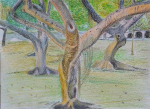 My finished Study of Several Trees