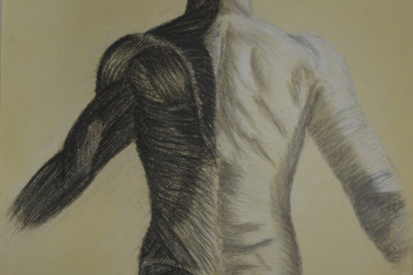 4 - Finished Anatomical Drawing Half and Half