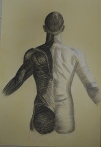 4 - Finished Anatomical Drawing Half and Half