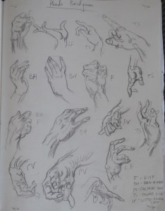 A Practise Drawing Hands