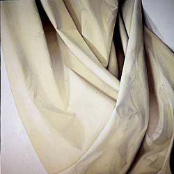 Alison Watt - Shift Collection of Scottish national