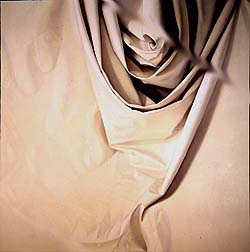 Alison Watt - Rosebud