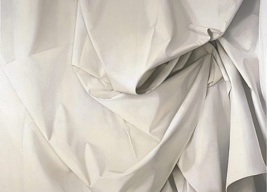 Alison Watt Part of the Phantom series, oil on canvas, 2007.