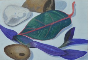 Assignment 1 - Natural Forms - Finished Drawing a2